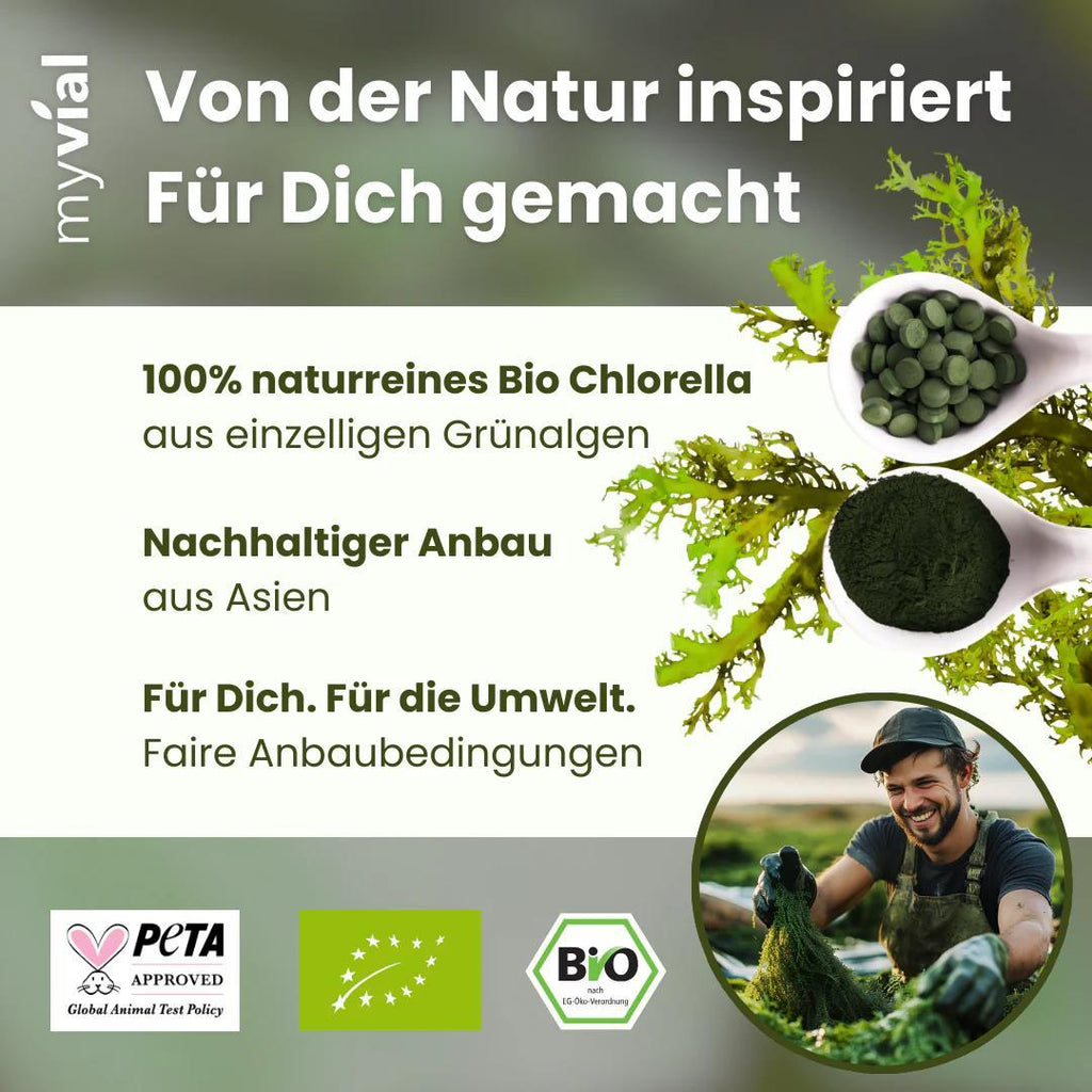Bio Chlorella Tabletten hochdosiert, 240 Stück für Zuhause und Alltag – Detailansicht 2
