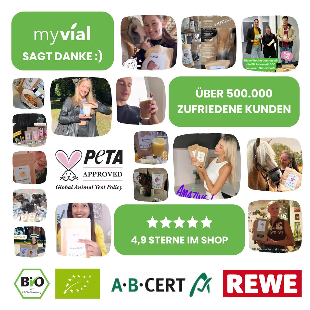 Bio Chlorella Tabletten hochdosiert, 240 Stück für Zuhause und Alltag – Detailansicht 8