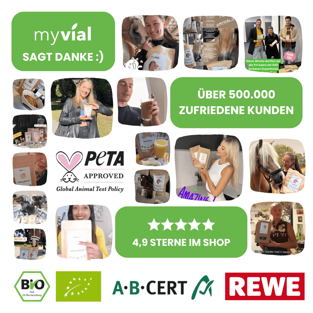 Bio Chlorella Tabletten hochdosiert, 240 Stück für Zuhause und Alltag – Detailansicht 17