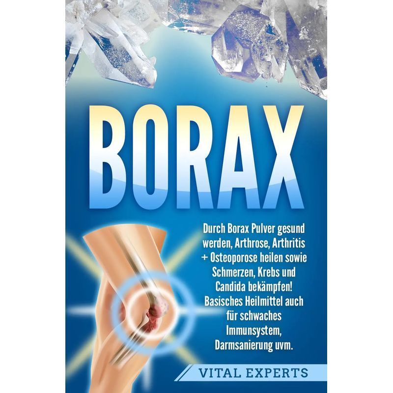 Buch Borax: Durch Borax Pulver gesund werden, Arthrose, Arthritis +, Taschenbuch für Kreativprojekte – Hauptansicht