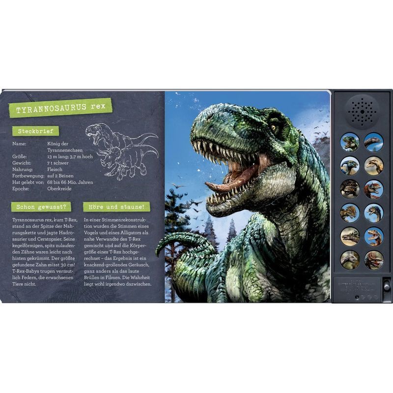 Buch Das große Dinosaurier Soundbuch für Alltag und Zuhause – Detailansicht 3