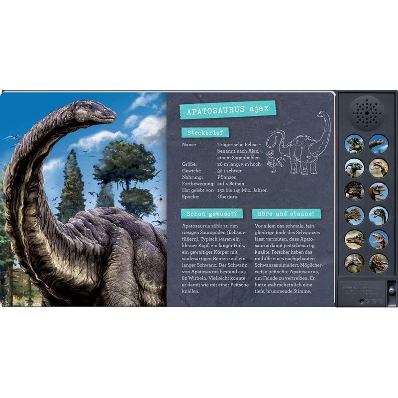 Buch Das große Dinosaurier Soundbuch für Alltag und Zuhause – Detailansicht 4