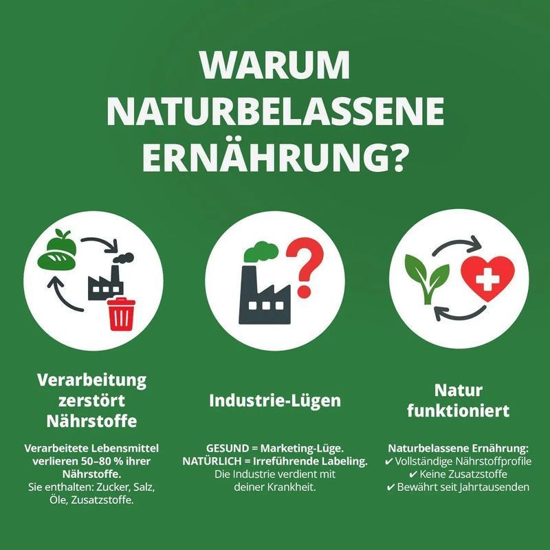 Buch Die Krankheitslügen Was man macht, um nicht krank zu werden. für Alltag und nahezu jedes Problem – Detailansicht 4