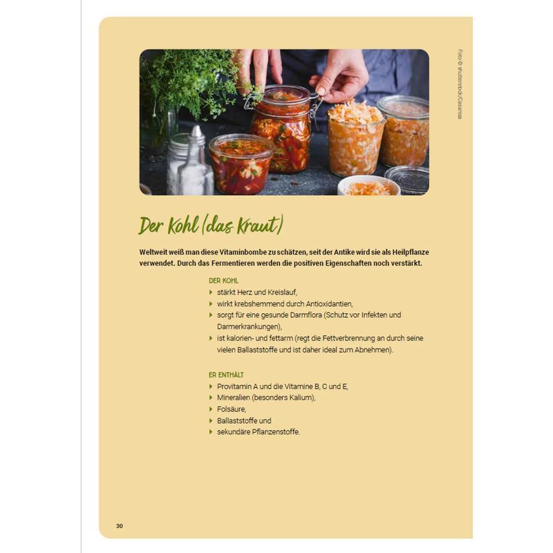 Buch Fermentieren ganz einfach für Alltag und Zuhause – Detailansicht 4