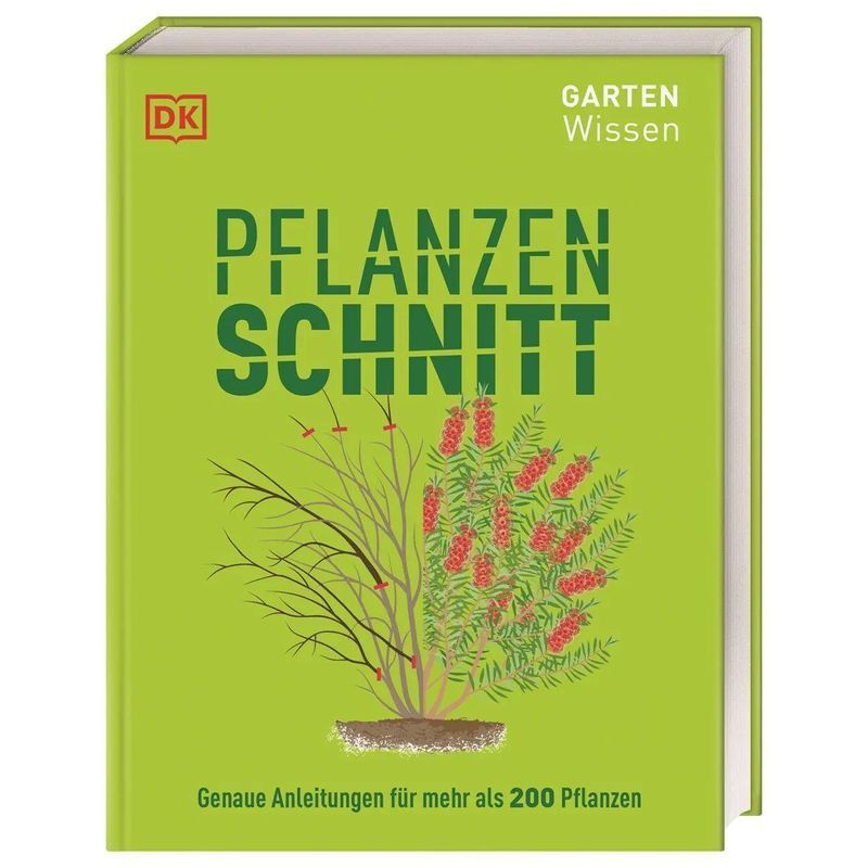 Buch Gartenwissen Pflanzenschnitt, Taschenbuch für Hobby und Kreativprojekte – Hauptansicht
