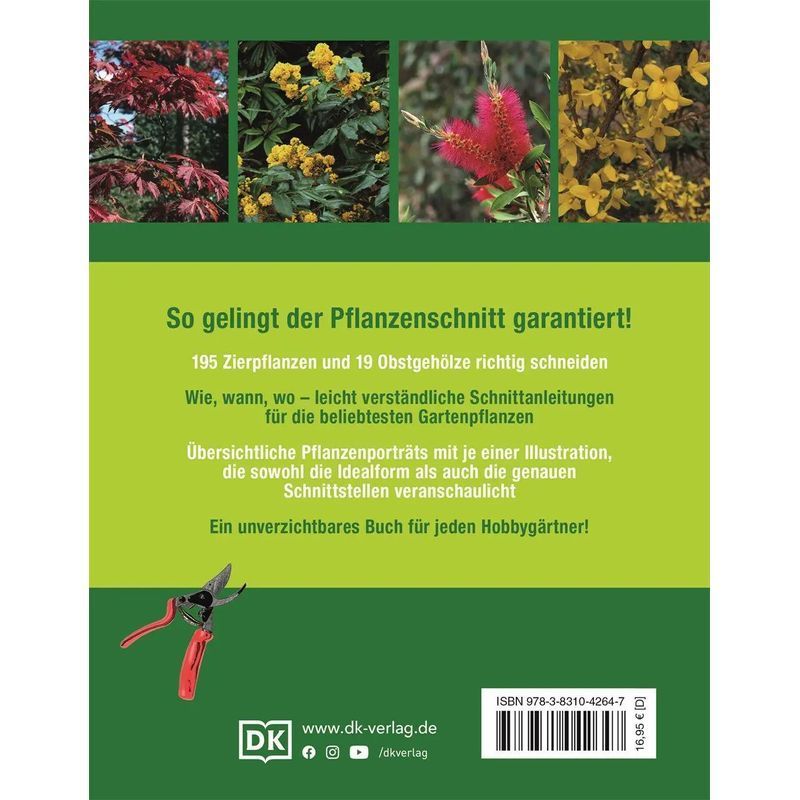 Buch Gartenwissen Pflanzenschnitt, Taschenbuch für Hobby und Kreativprojekte – Detailansicht 2