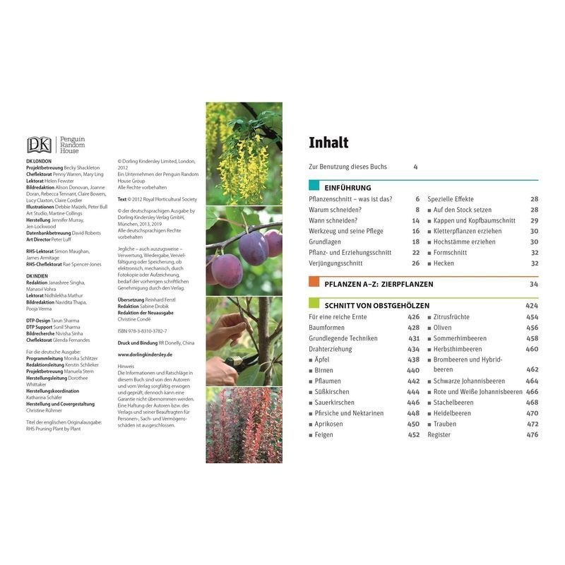 Buch Gartenwissen Pflanzenschnitt, Taschenbuch für Hobby und Kreativprojekte – Detailansicht 3