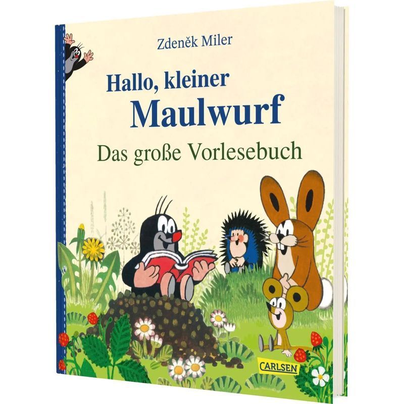 Buch Hallo, kleiner Maulwurf Das große Vorlesebuch für Fahrzeug und unterwegs – Hauptansicht