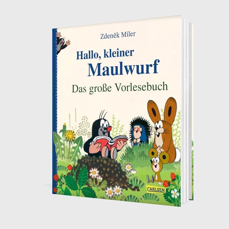 Buch Hallo, kleiner Maulwurf Das große Vorlesebuch für Fahrzeug und unterwegs – Detailansicht 3