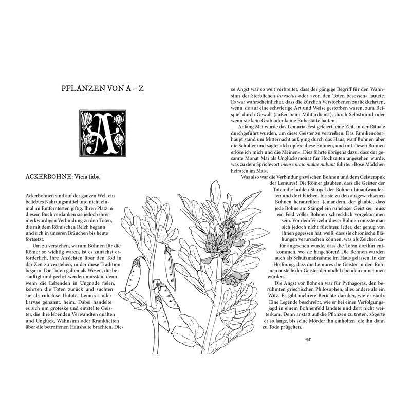 Buch Im Garten der Gifte für Garten und Terrasse – Detailansicht 4