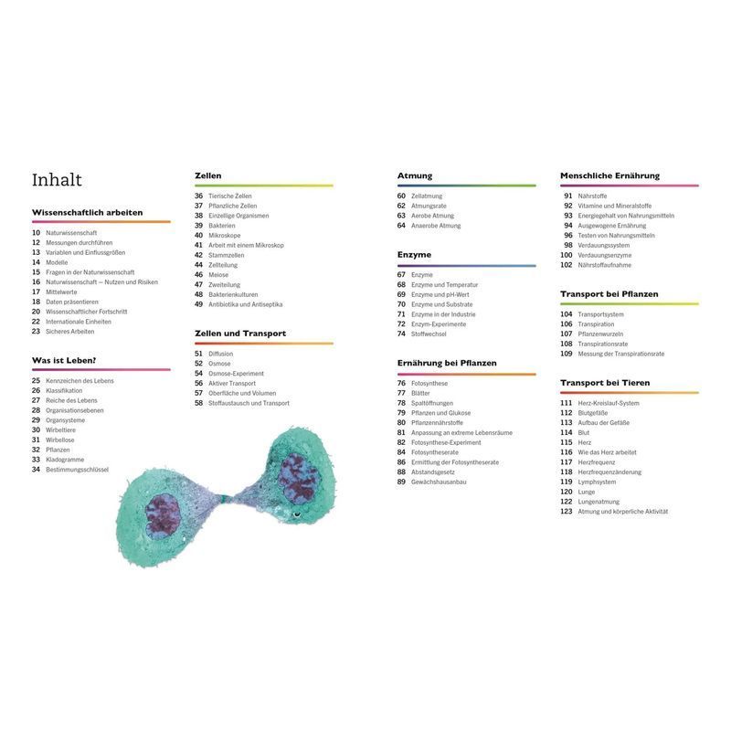 Buch Visuelles Wissen. Biologie, Taschenbuch für Hobby und Kreativprojekte – Detailansicht 3