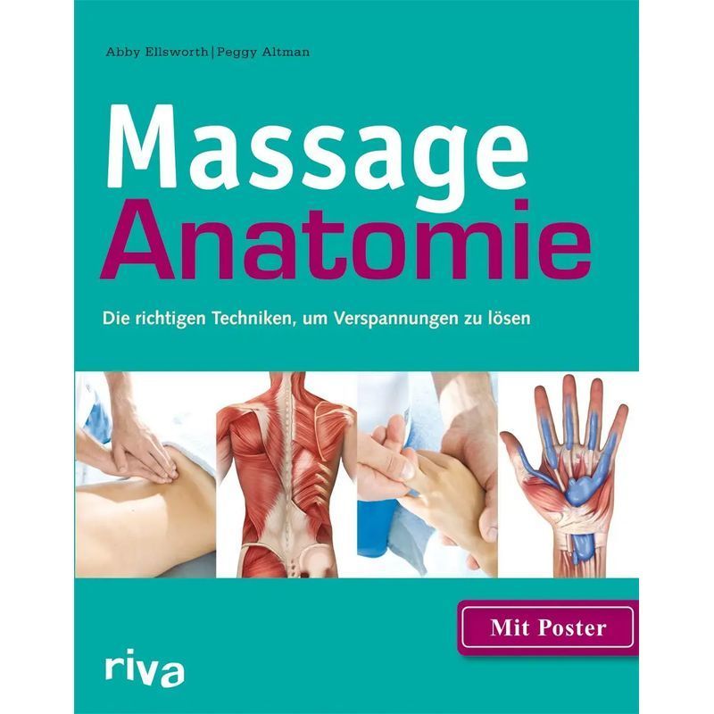 Massage Anatomie - Taschenbuch - Die richtigen Techniken, um Verspannungen zu lösen - Abby Ellsworth (u. a.) - 160 S. - Deutsch - 2014 - riva Verlag - EAN 9783868833935
