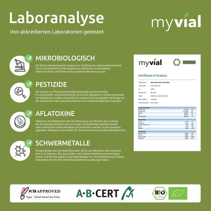 Bio Chlorella Tabletten hochdosiert 240 Stück 500mg Vegan, ohne Zusätze, plastikfrei verpackt, Algen Presslinge aus Mikroalge, Chlorella Vulgaris Zellwand aufgebrochen