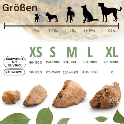 PetLove Kauwurzel mit Olivenöl – langlebiger Kausnack für Hunde, natürliche Zahnreinigung und Beschäftigung, splitterfrei & robust, in verschiedenen Größen XS–XL (60–1000 g) – gesunde Alternative zu künstlichen Kauartikeln