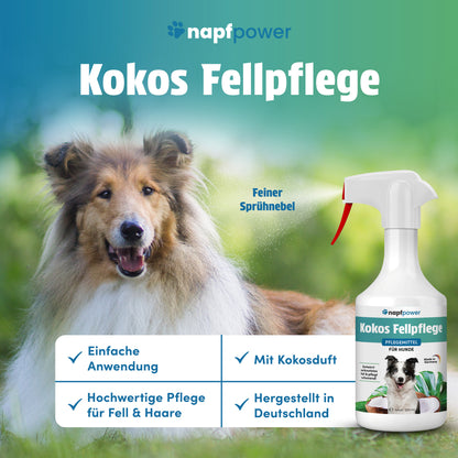 napfpower® Fellspray Hund mit Kokosduft (250 ml) | Fellpflege für Hunde | Entfilzungsspray & Glanzspray für einfache Kämmbarkeit | Fellspray für ein glänzendes Hundefell | Entwirrt verknotetes Fell & pflegt sanft