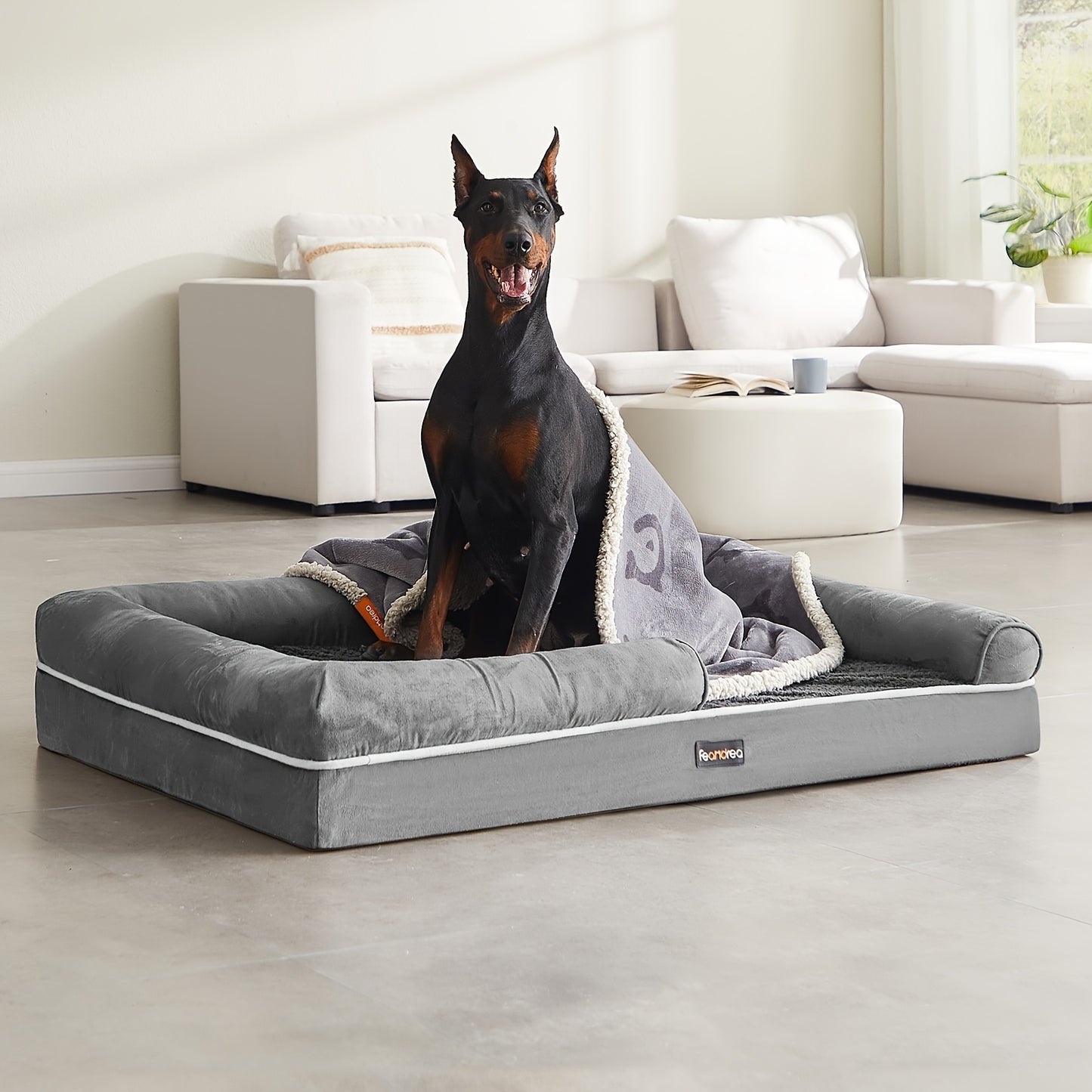Orthopädisches Haustierbett, Hunde Couch mit Seiteneinsätzen, Abnehmbarer und Waschbarer Bezug, Abmessungen 120 x 85 x 20 cm, Anti-Rutsch-Basis