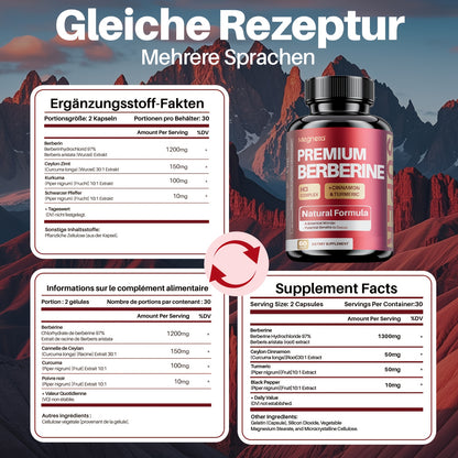2er-Pack Berberin-Nahrungsergänzungsmittel | 27in 1 mit Ceylon-Zimt  Kurkuma – Hochwirksames Berberin 1460 mg mit Ceylon-Zimt, Kurkuma  schwarzem Pfeffer | 120 vegane Kapseln für Männer  Frauen