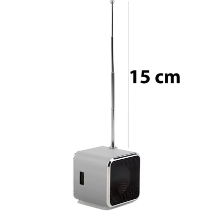 Kabelloser Lautsprecher mit UKW-Radio und LED-Hintergrundbeleuchtung, RETOO TechPro, tragbarer Mini-MP3-Player mit MicroSD-Kartenleser und USB-Anschluss, kompakter Lautsprecher mit integrierter Antenne und Akku, 3,5-mm-Klinkenanschluss für Kopfhörer, USB-