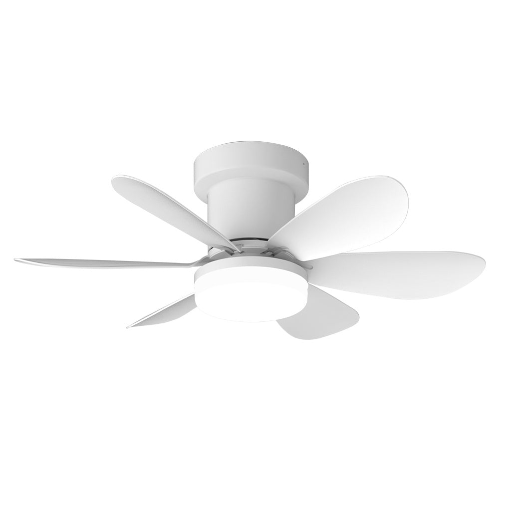 Deckenventilator, MISTRAL SCHWARZ für Küche – Detailansicht 16