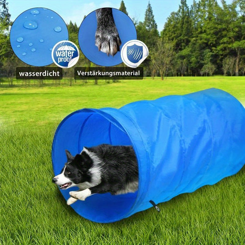 Dog Agility Equipment Set Hundetrainingsspielzubehör, Blau für Haustiere und Zuhause – Detailansicht 3