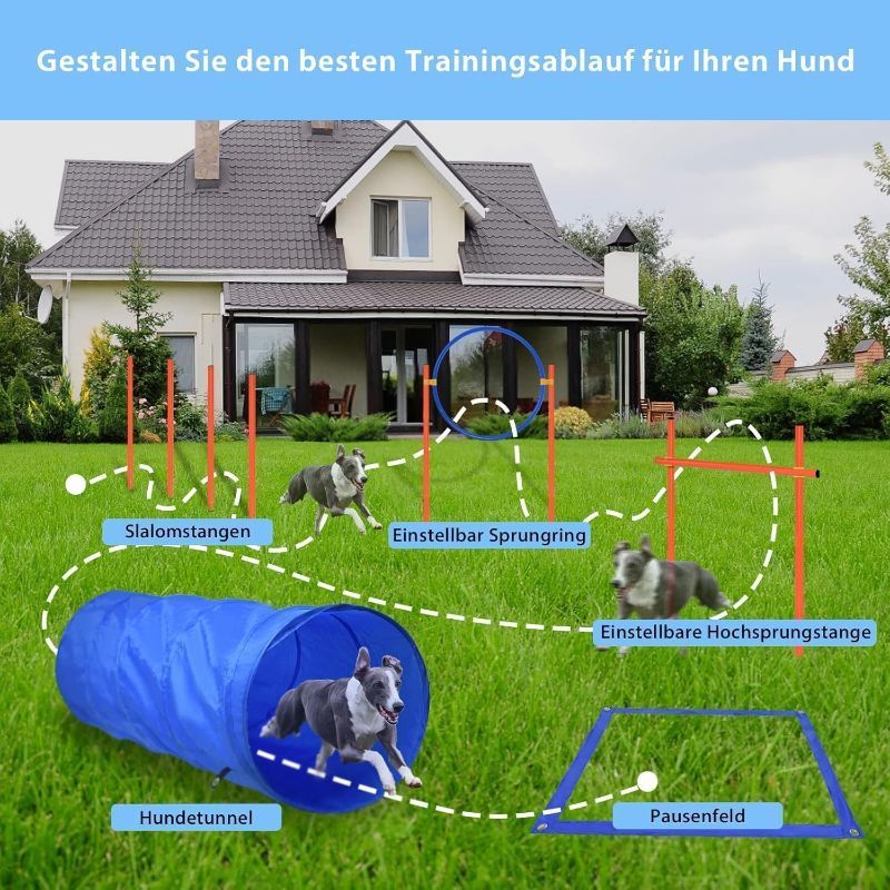Dog Agility Equipment Set Hundetrainingsspielzubehör, Blau für Haustiere und Zuhause – Detailansicht 4