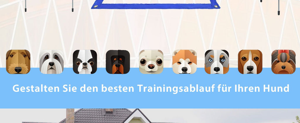 Dog Agility Equipment Set Hundetrainingsspielzubehör, Blau für Haustiere und Zuhause – Detailansicht 5