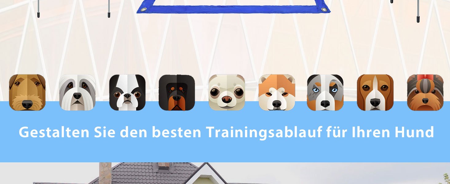 Dog Agility Equipment Set Hundetrainingsspielzubehör, Blau für Haustiere und Zuhause – Detailansicht 5