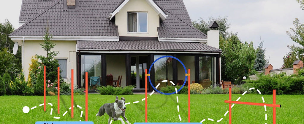 Dog Agility Equipment Set Hundetrainingsspielzubehör, Blau für Haustiere und Zuhause – Detailansicht 11