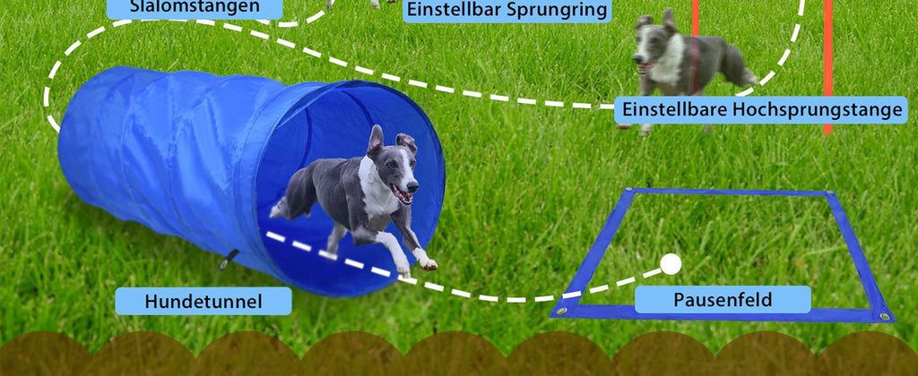 Dog Agility Equipment Set Hundetrainingsspielzubehör, Blau für Haustiere und Zuhause – Detailansicht 12