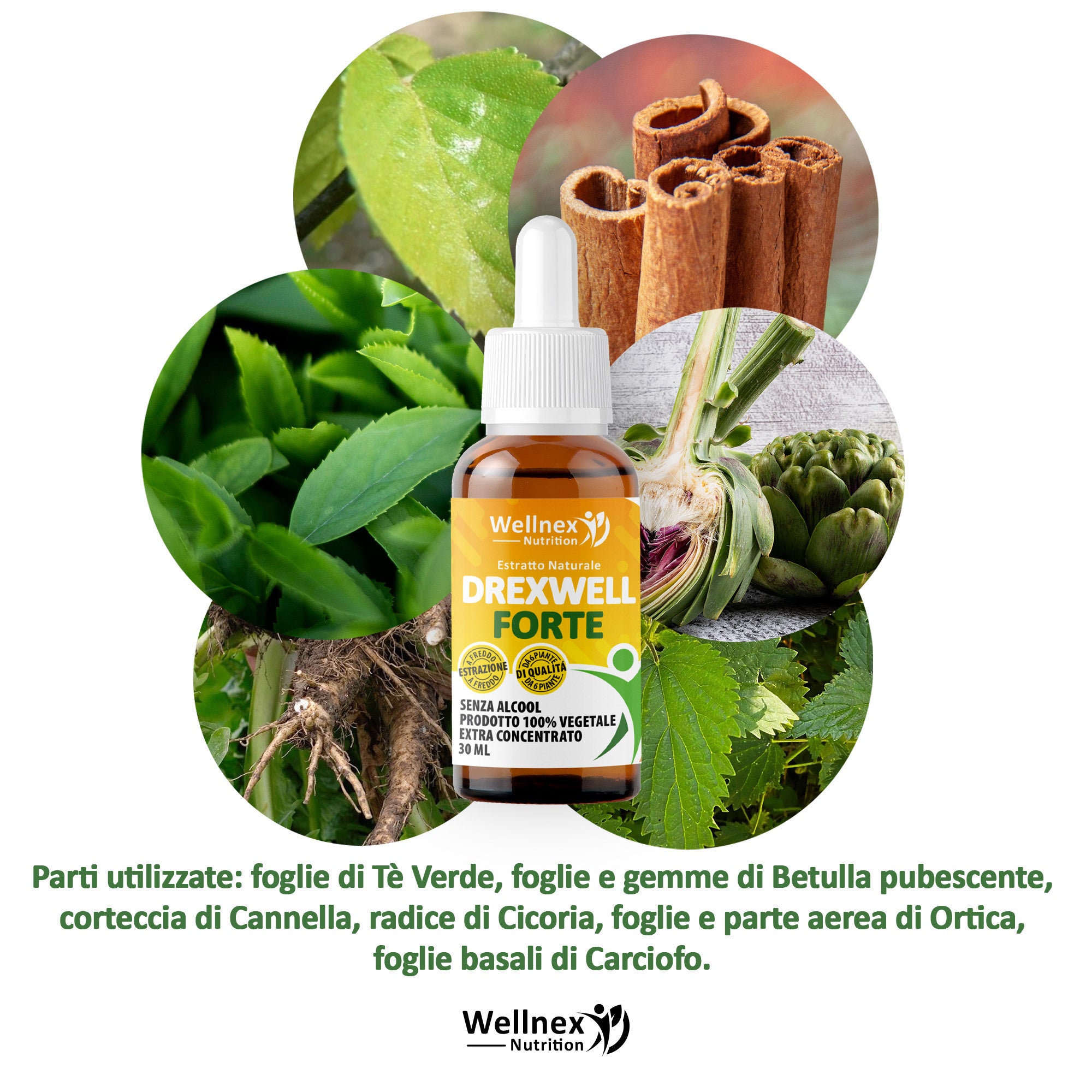 DrexWell Forte, 30 ml für Alltag und Zuhause – Detailansicht 7