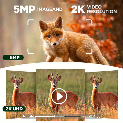 4G IoT Überwachungskamera, Bewegungsgesteuertes 2K Live-Streaming, Solarbetrieben, mit Farb-Nachtsicht, Zwei-Wege-Audio, Remote-Hunting und Wildtierbeobachtung ohne WLAN