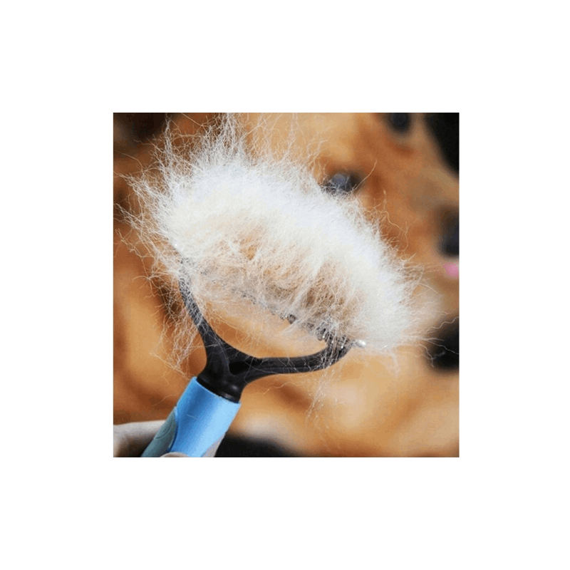 Entfilzungskamm für Ratten, Blau für Haustiere und Zuhause – Detailansicht 7