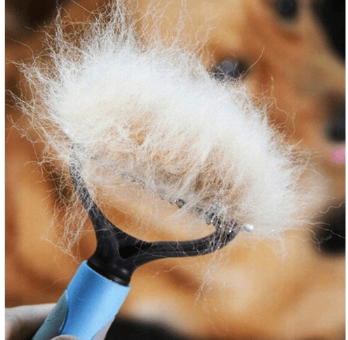 Entfilzungskamm für Ratten, Blau für Haustiere und Zuhause – Detailansicht 11