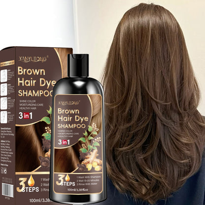 3-in-1 Schwarzes/Kastanienbraunes/Braunes Haarfarben-Shampoo, Haarfarbe und Spülung, Natürliche Kräuter Inhaltsstoffe, Deckt Grauheit auf, Feuchtigkeitsspendend, Ingwerextrakt, Langanhaltend, Unisex, Geeignet für alle Haartypen. Reisegröße, Halloween-Gesc