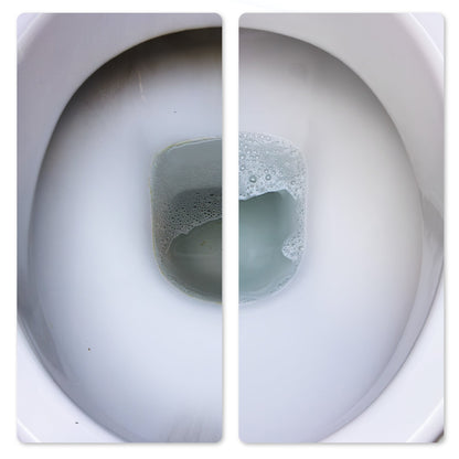 FLUID zur Entfernung von Urin und Kalk 1L - für Toiletten und Urinalbecken