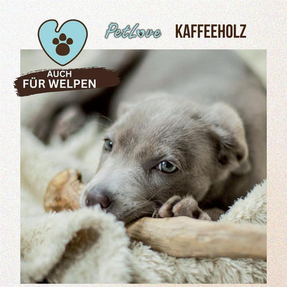 PetLove Kaffeeholz für Hunde – natürliches Kauholz in 5 Größen (S–XXL), langlebiger Kausnack zur Zahnreinigung und Beschäftigung, robust & nachhaltig, gesunde Alternative zu Knochen und künstlichen Kauartikeln für kleine, mittelgroße und große Hunde