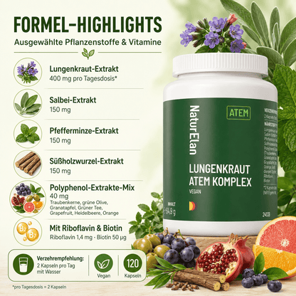 Lungenkraut Kapseln - Atem Komplex, 120 Kapseln mit 400mg pro Tagesdosis, mit Lungwort, Salbei, Pfefferminze, Süßholzwurzel, Polyphenol-Extrakte uvm. Vegan, ohne Zusätze, in Deutschland produziert