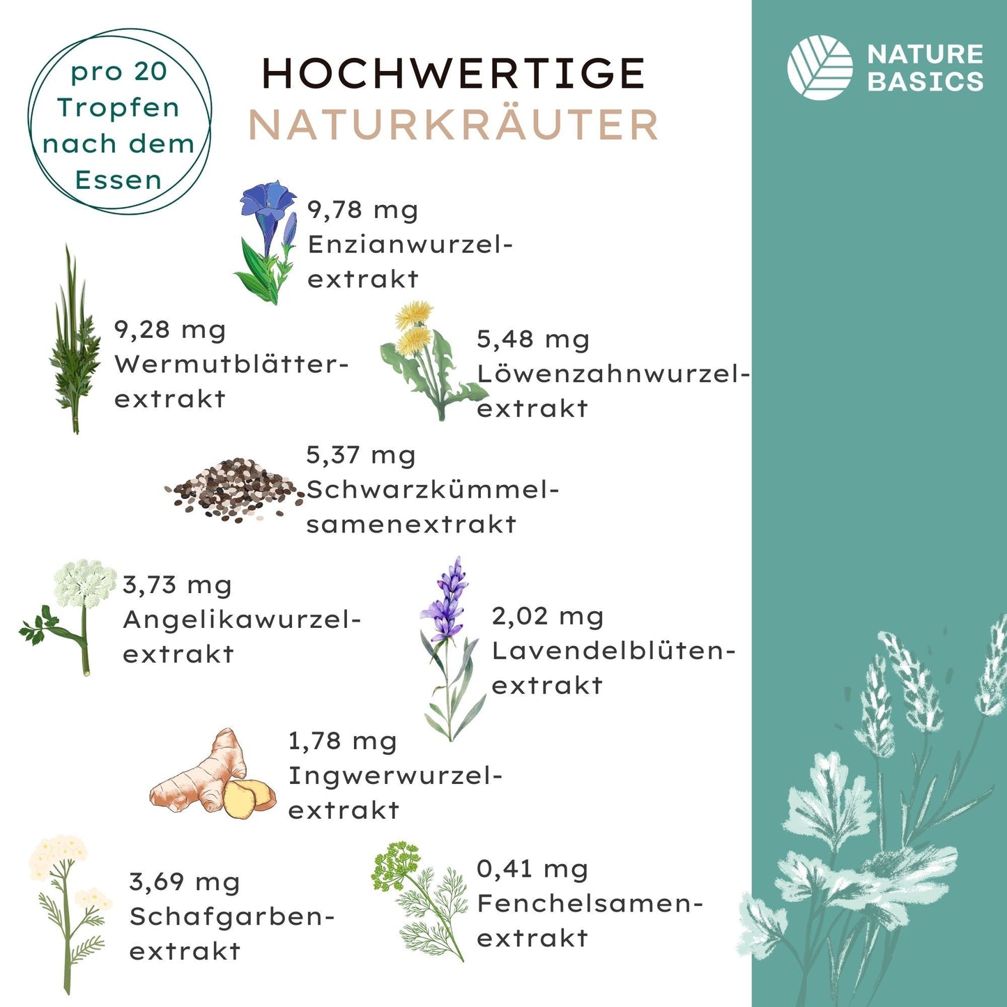 Bittertropfen - 1000 Tropfen - 20 Tropfen pro Tagesdosis mit hochwertigen Naturkräutern ohne Alkohol - nach Hildegard von Bingen - Vegan, Zertifiziert & Nachhaltig im Glas - Made in Germany