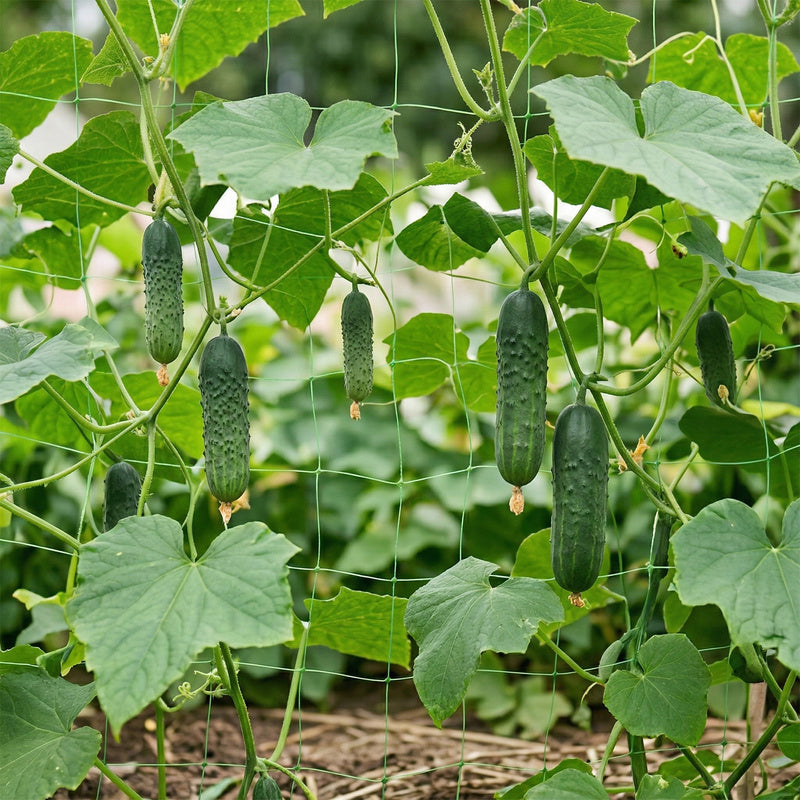 Gartennetz für Kletterpflanzen, 1,2×20M für Garten und Terrasse – Detailansicht 3