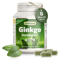 Ginkgo Biloba für Alltag und Zuhause – Hauptansicht