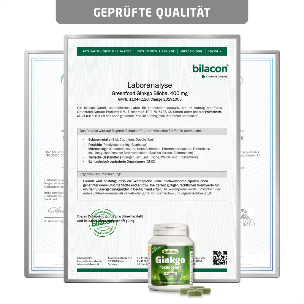 Ginkgo Biloba für Alltag und Zuhause – Detailansicht 3