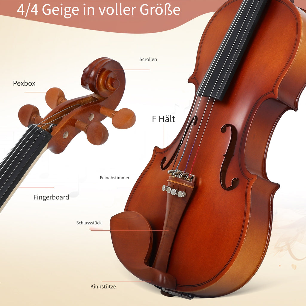 Handgefertigte, 4/4 für Erwachsene und Schüler – Detailansicht 4