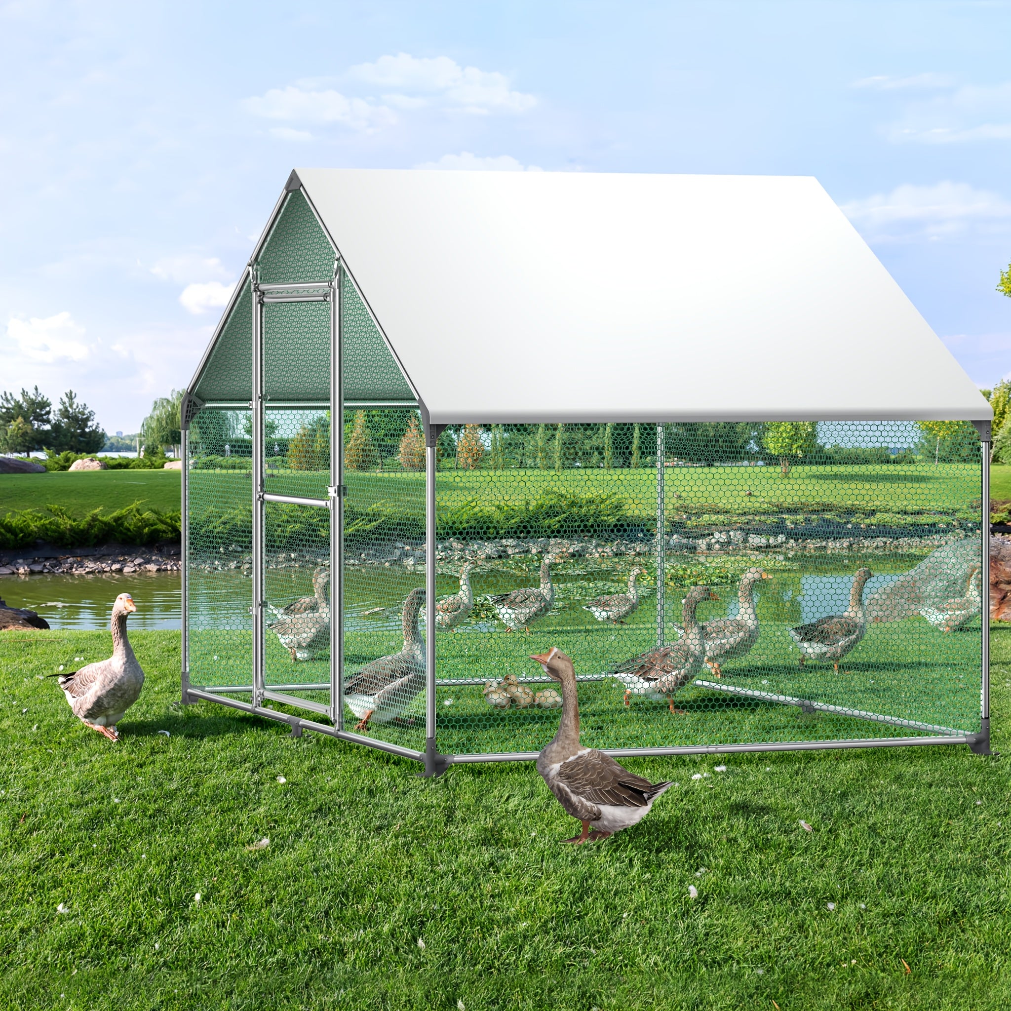 Hühnerstall, 3 x 8 x 2 m für Kaninchen Avikultur und Haustiere – Detailansicht 7