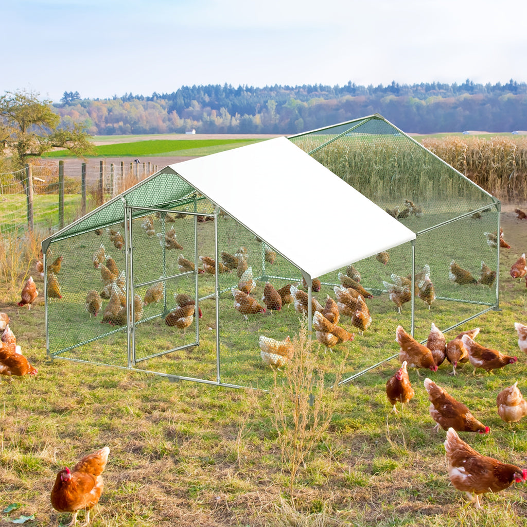 Hühnerstall, 3 x 8 x 2 m für Kaninchen Avikultur und Haustiere – Detailansicht 9