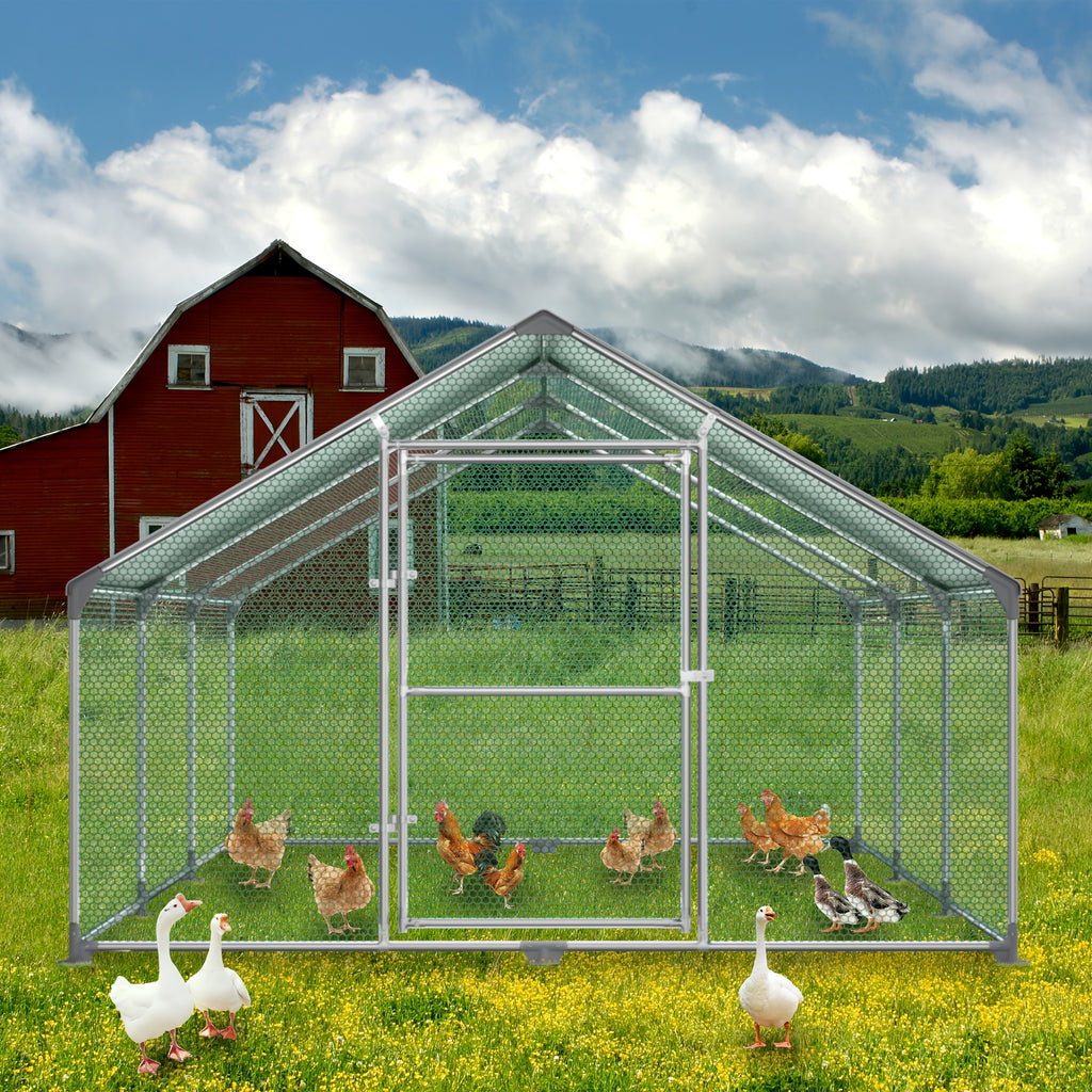 Hühnerstall, 3 x 8 x 2 m für Kaninchen Avikultur und Haustiere – Detailansicht 10