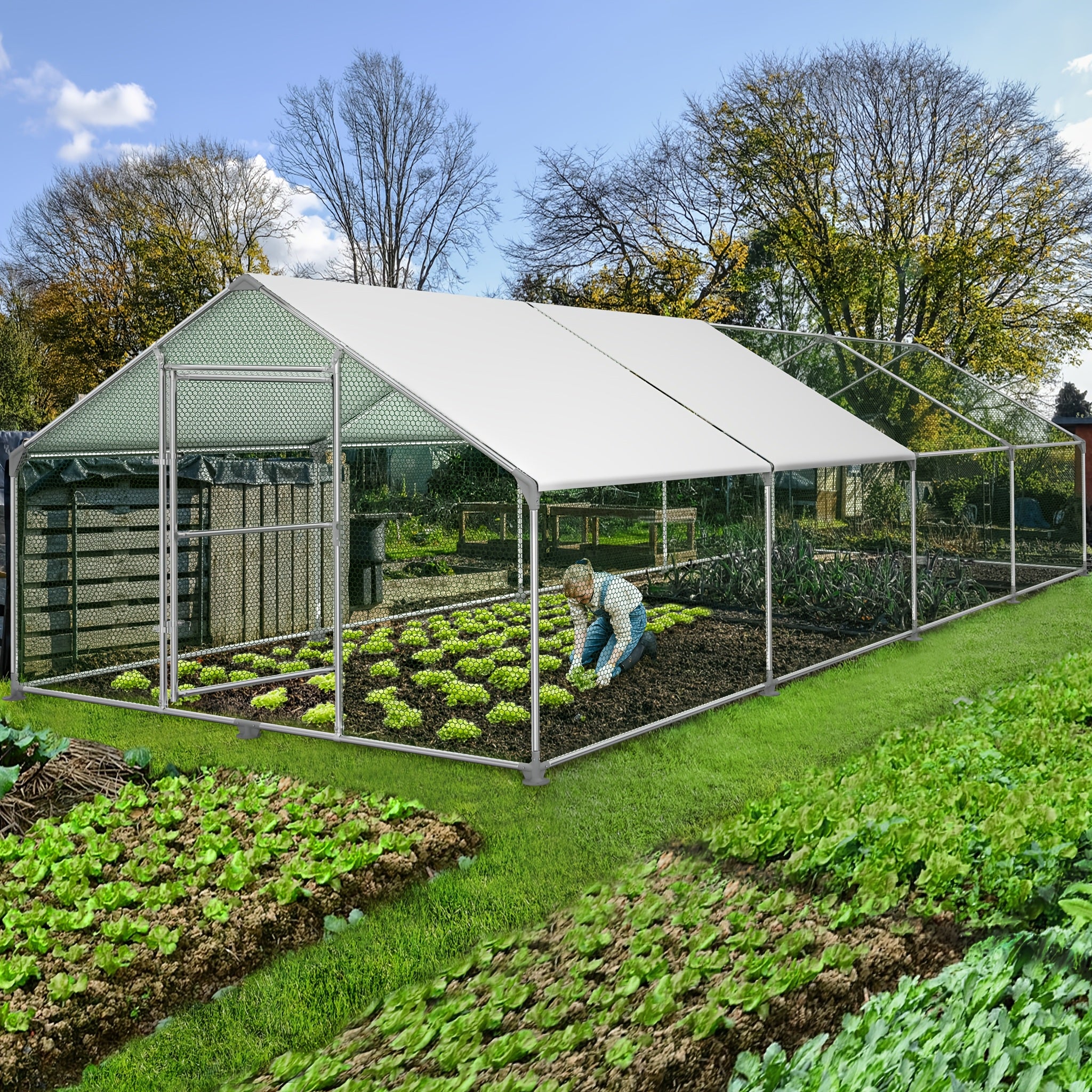 Hühnerstall, 3 x 8 x 2 m für Kaninchen Avikultur und Haustiere – Detailansicht 12