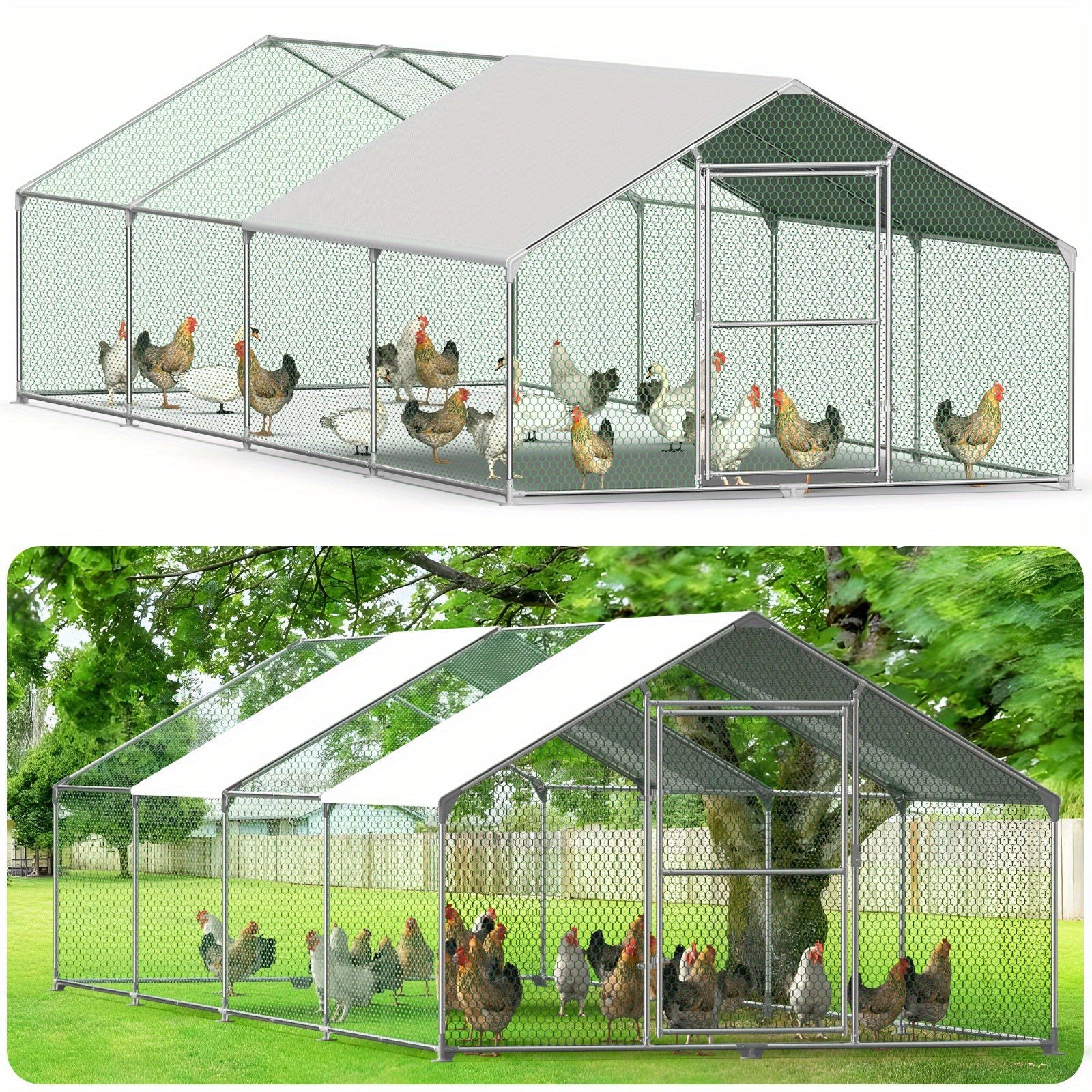 Hühnerstall, 3 x 8 x 2 m für Kaninchen Avikultur und Haustiere – Detailansicht 18