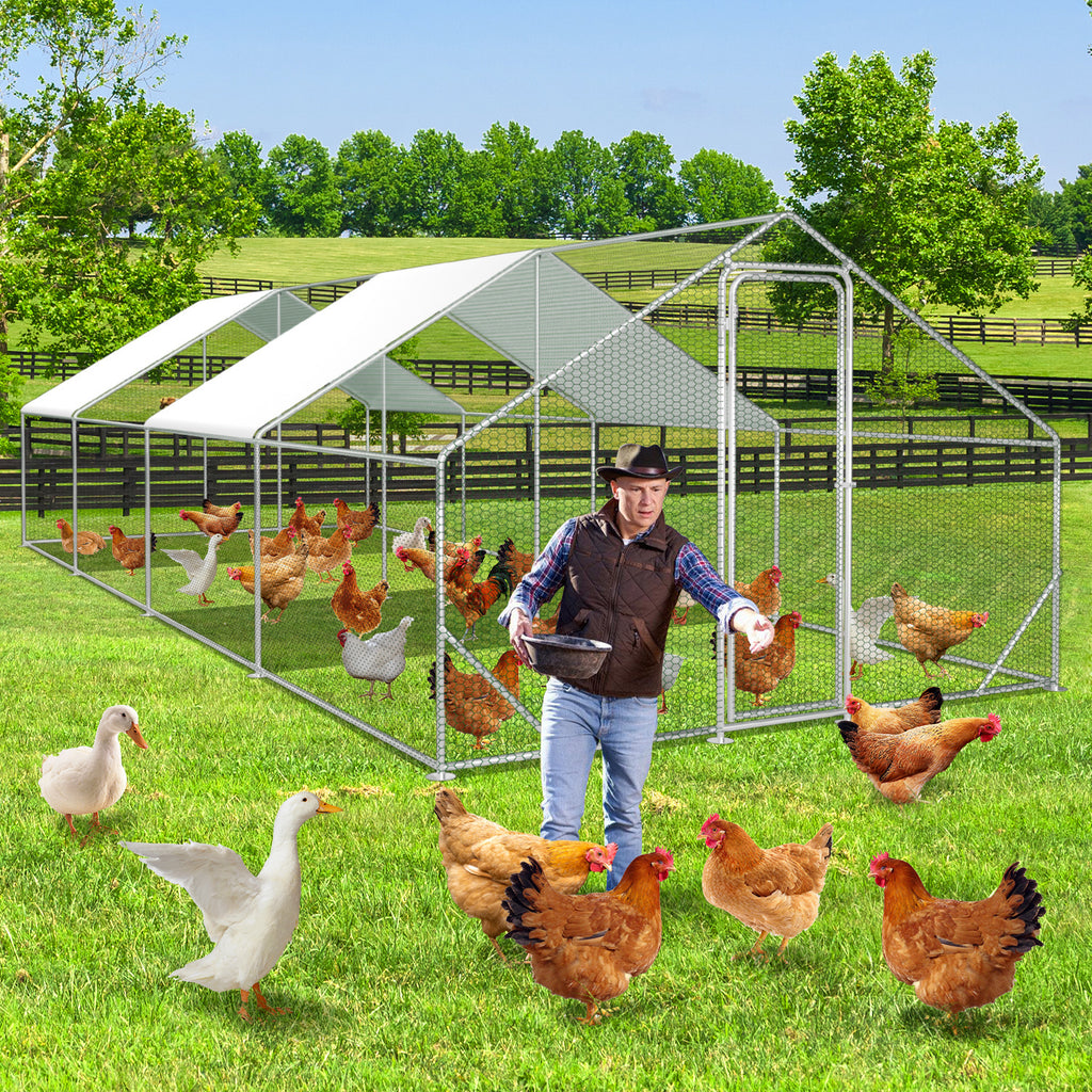 Hühnerstall, 3x8x2m/24㎡ für Haustiere und Zuhause – Detailansicht 12