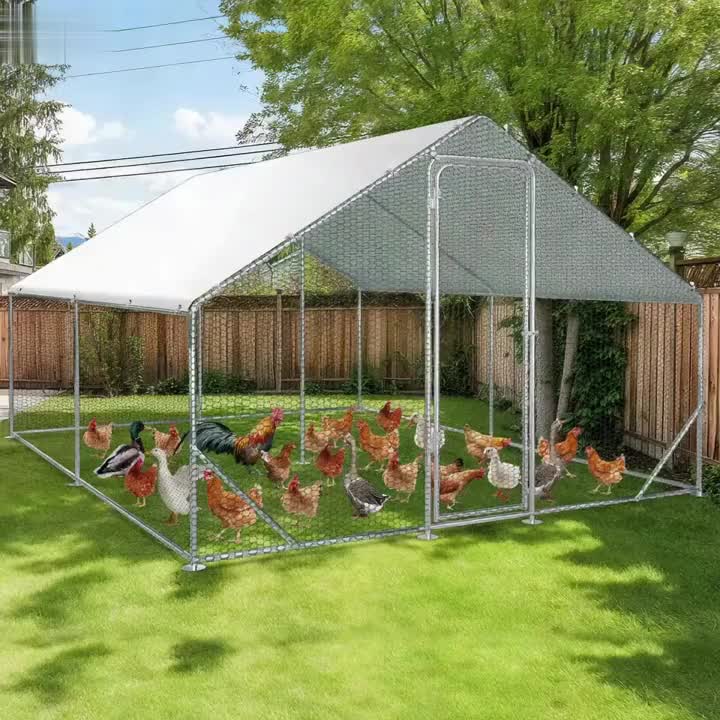 Hühnerstall, 3x8x2m/24㎡ für Haustiere und Zuhause – Detailansicht 13