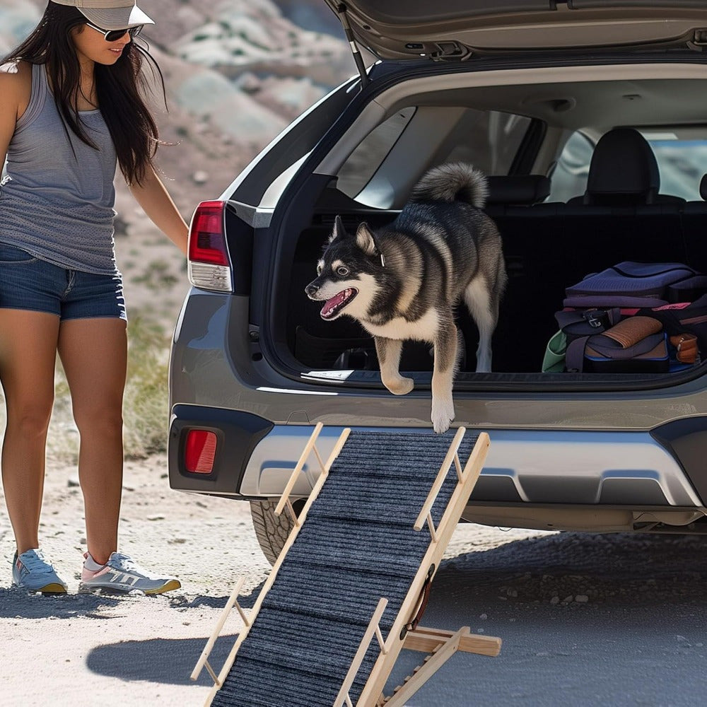 Hunde-Rampen Treppen Stufen Klappbar, rutschfest für Haustiere und Zuhause – Detailansicht 10